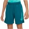 Nike Dri-FIT Multisport Graphic Korte Broek Kinderen - Geode Teal/clear Jade Ii/clear DX5361-381 -Fitness-Mode Winkel nike dri fit multisport graphic kids shorts geode teal clear jade ii clear dx5361 381 1 1528846