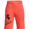 Under Armour UA Prototype 2.0 Logo Shorts Jongens - After Burn/Black -Fitness-Mode Winkel under armour boys ua prototype 2 1450005