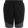 Under Armour UA HIIT Woven Colorblock Short Heren - Black/Pitch Gray/Black -Fitness-Mode Winkel under armour mens ua hiit woven colorblock shorts black pitch gray black 1 1024052